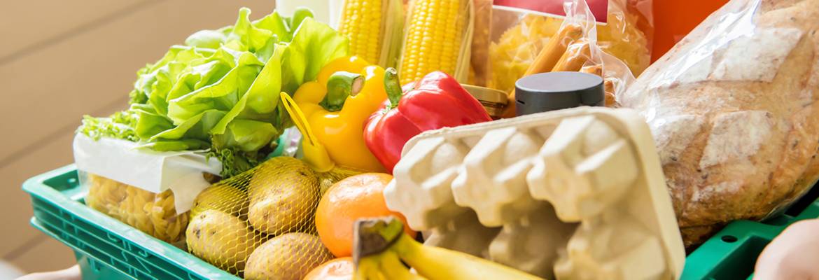 contenedores isotermos alimentos